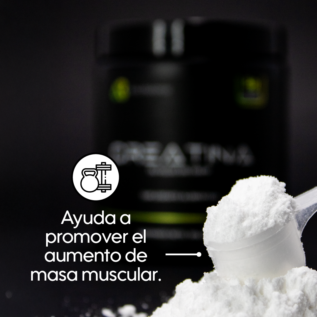 Creatina Monohidratada, Micronizada